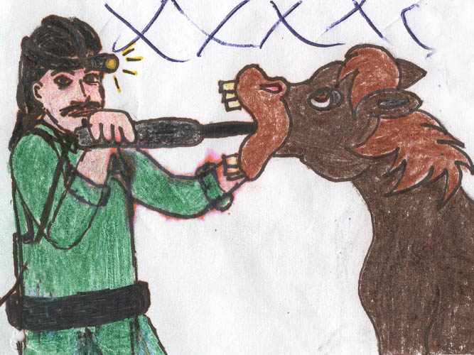 Tierarztpraxis Keussen Tierarzt Keussen